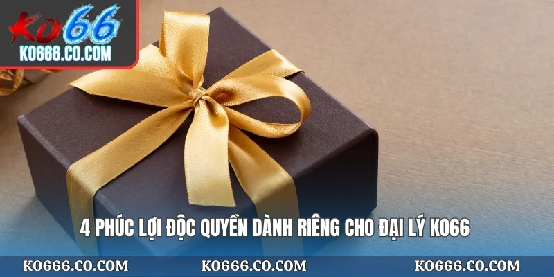4 phúc lợi độc quyền dành riêng cho đại lý KO66
