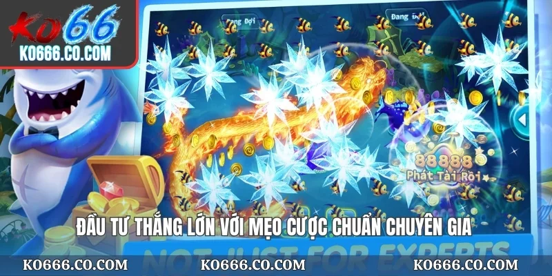 Đầu tư thắng lớn với mẹo cược chuẩn chuyên gia