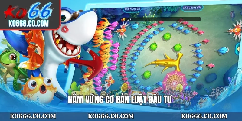 Nắm vững cơ bản luật đầu tư