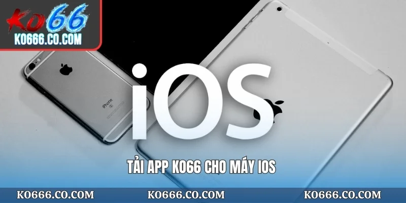 Tải app KO66 cho máy IOS