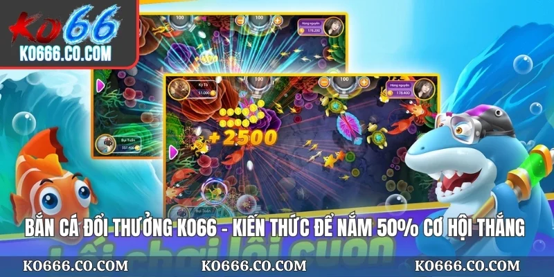 Bắn Cá Đổi Thưởng KO66 - Kiến Thức Để Nắm 50% Cơ Hội Thắng