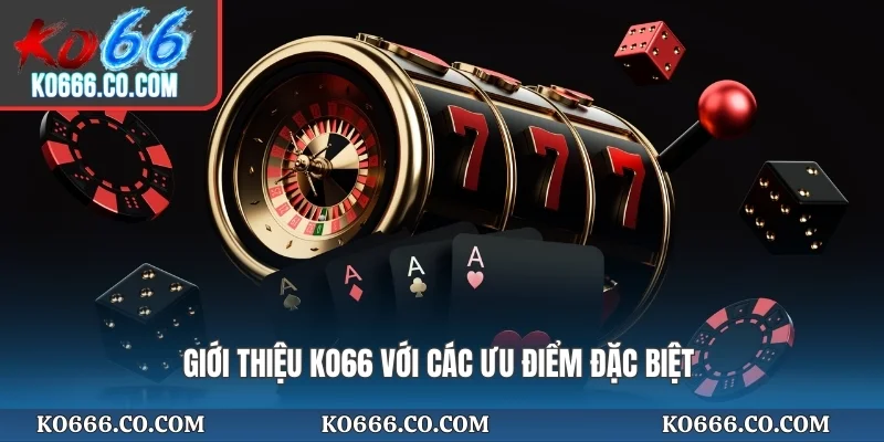 Giới thiệu KO66 với các ưu điểm đặc biệt