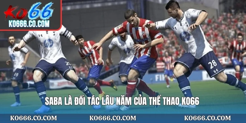 Saba là đối tác lâu năm của Thể thao KO66