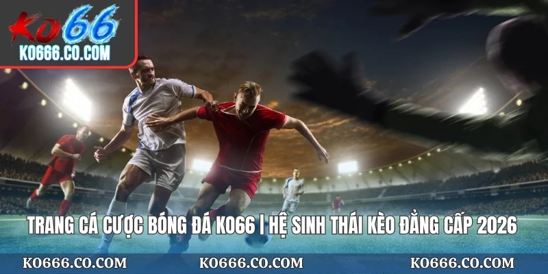Trang Cá Cược Bóng Đá KO66 | Hệ Sinh Thái Kèo Đẳng Cấp 2026